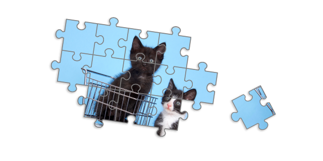 O teu carrinho está vazio.